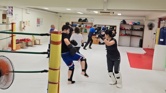 新規1人入会‼(火)総合格闘技/修斗クラス