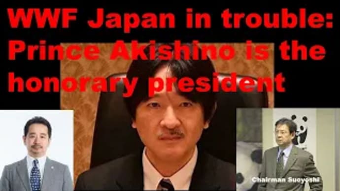 WWF Japan, of which Prince Akishino is the honorary president, is in the midst of a scandal.