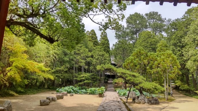 曹源寺へ