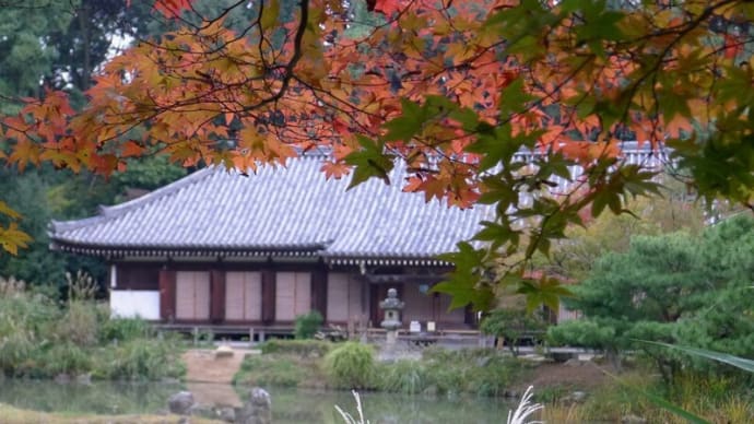 2013 奈良正倉院展の頃⑥ 浄瑠璃寺 2013/11/4