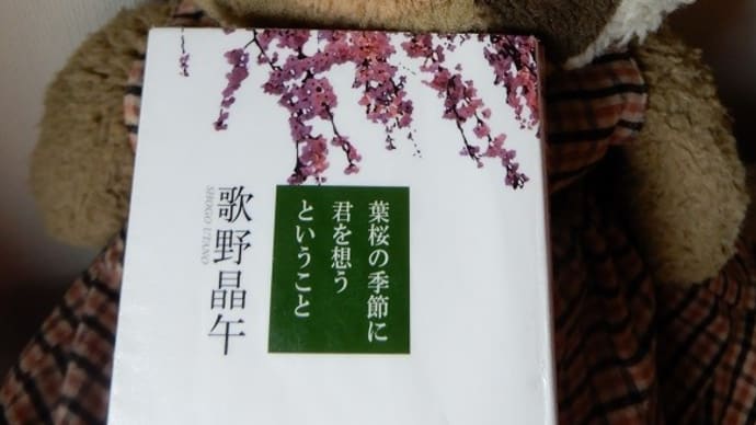 桜ふる小説・４（歌野晶午『葉桜の季節に君を想うということ』感想）