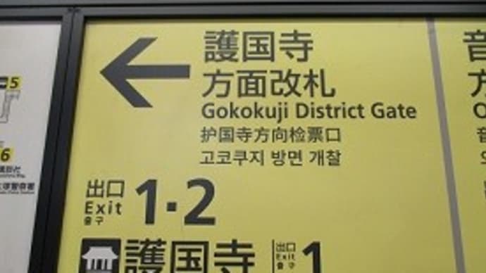 桜めぐり2023(護国寺&椿山荘&肥後細川庭園)