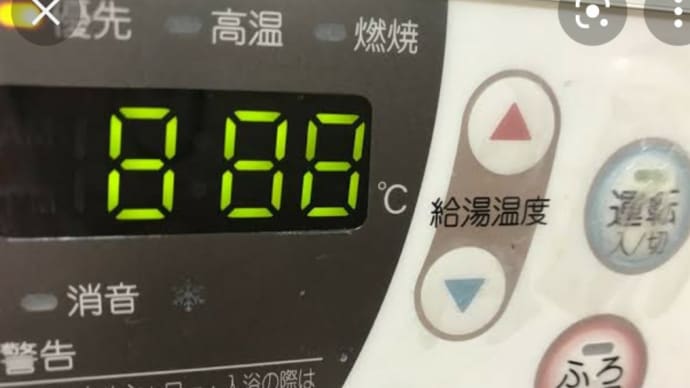 実家で大騒ぎ