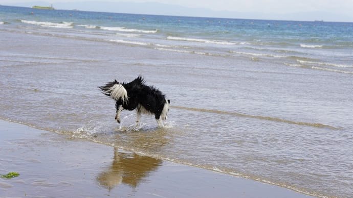 ☆6月の海☆
