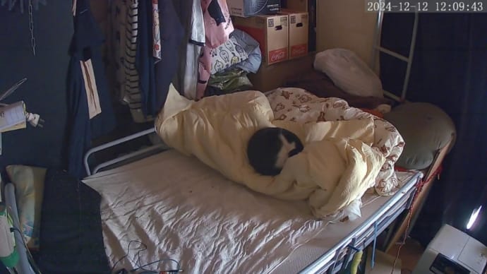 居る必要ないからこっそりと