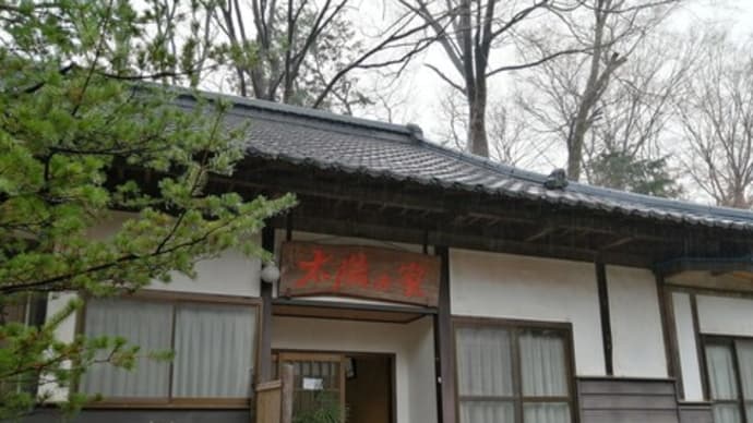 長岡式酵素玄米