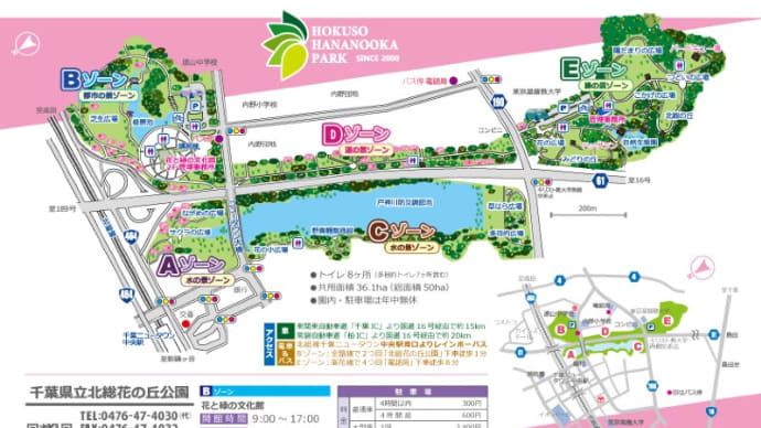 北総花の丘公園を散策