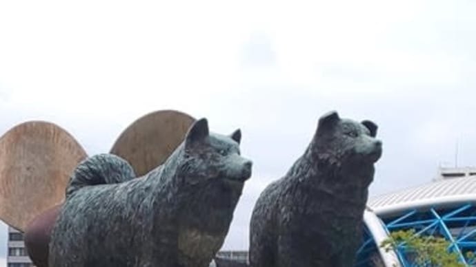 歴史紀行 動物編　1 ‐ 6　南極観測隊 樺太犬 タロ、ジロ　６