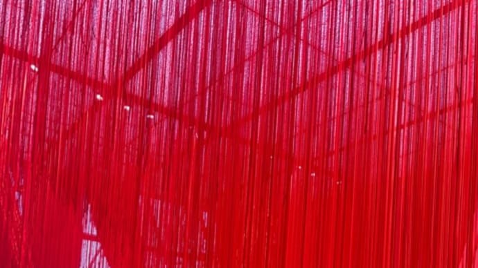 えっ?そうでしたっけ•塩田千春つながる私展画像