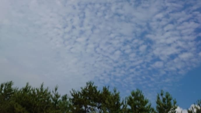 海があってよかった。