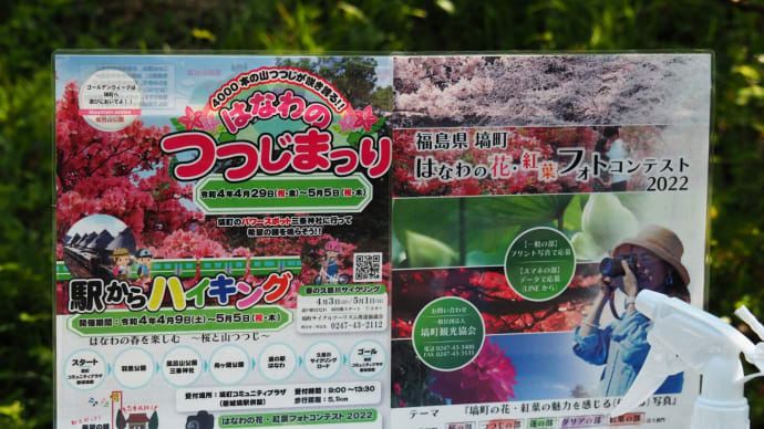 『つつじまつり』の風呂山公園。しかし、時すでに遅く・・・(塙町)