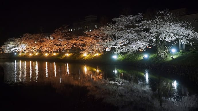 ★松本城ブルーのライトアップと夜桜ライトアップ🌸 2021