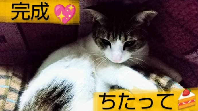 フクエール完成! 土曜日Aクラス(2月前半) ①