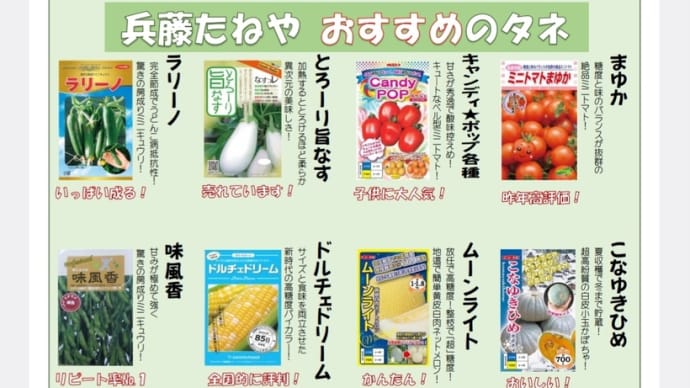 ~春タネも勢揃い致しました‼️~