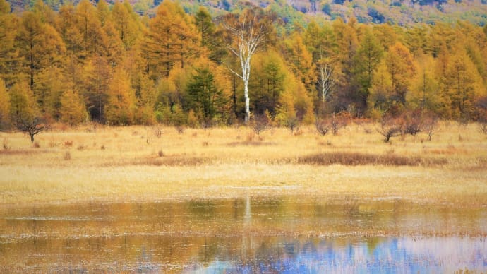貴婦人の水鏡、奥日光幻の湖