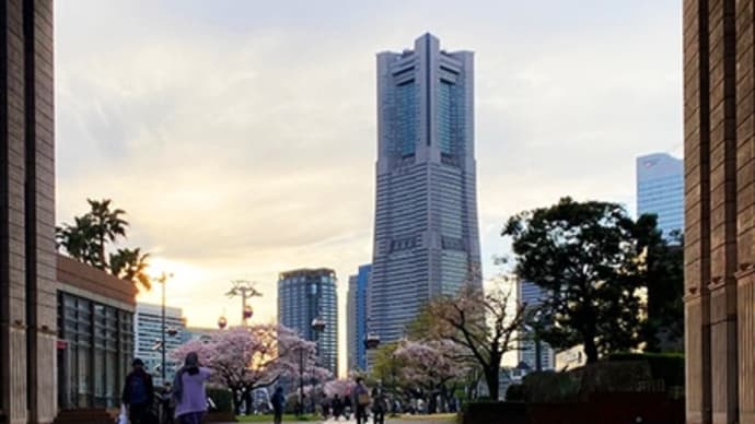 桜を楽しみに大好きな横浜へ(その10 おまけ)