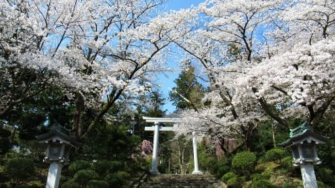 彌彦神社をお参り