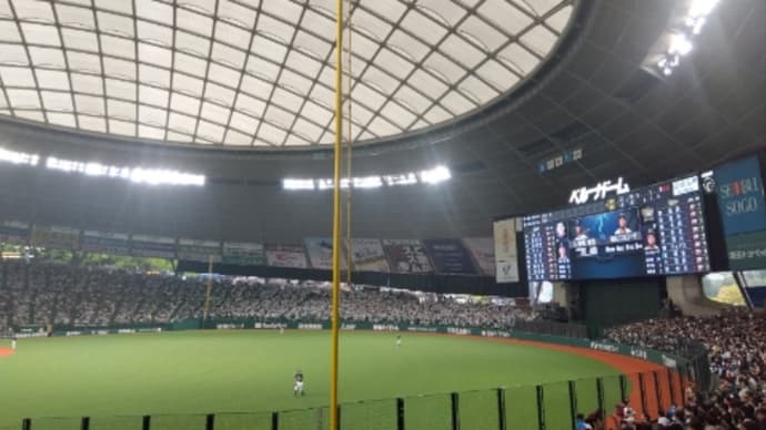 野球観戦