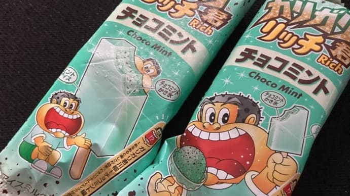 ガリガリ君リッチ チョコミント