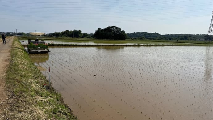 田植えが終了しました