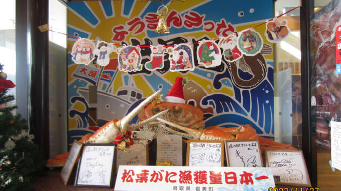膝痛、すね痛、首が動きづらい、肩こり、腕が重い、指が動きづらい