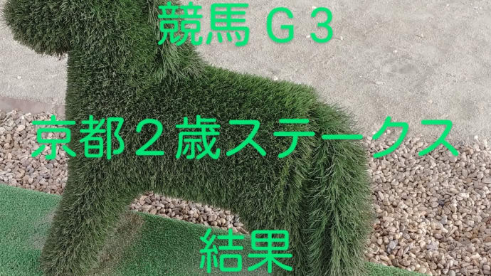 レース結果 競馬G3 京都2歳ステークスを振り返る 馬券結果
