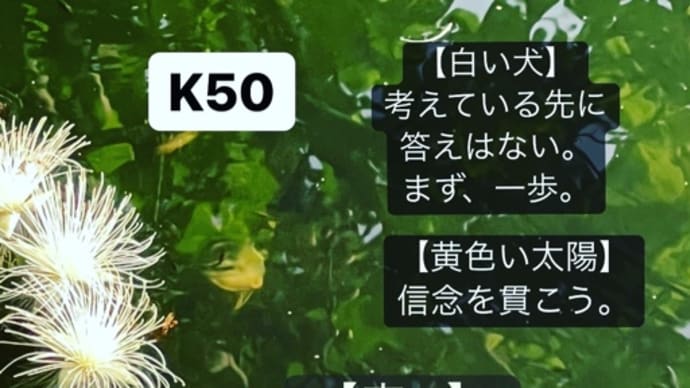 〜マヤ暦K51 青い猿・黄色い太陽・音12〜 長〜い,自宅待機期間を終えて……