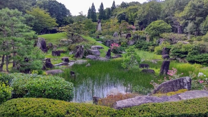 日本庭園:主庭の池にイヌホタルイ