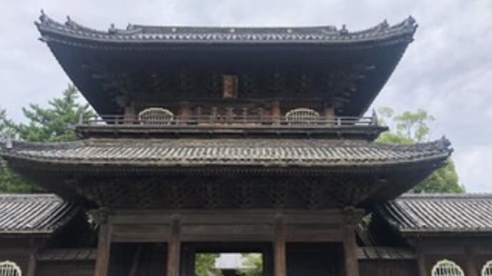 【大樹寺(愛知県岡崎市)】御朱印〔2023-8-24〕