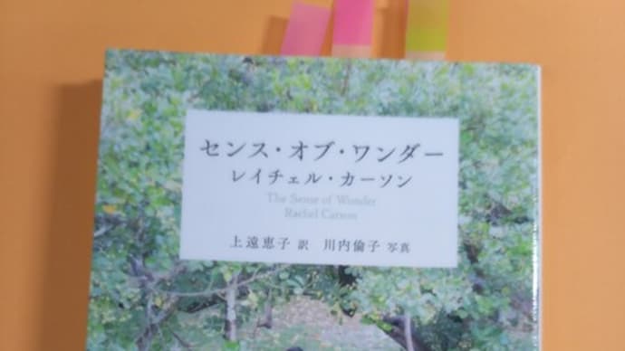自然の素晴らしさに驚く心・レイチェルカーソン著「センス・オブ・ワンダー」