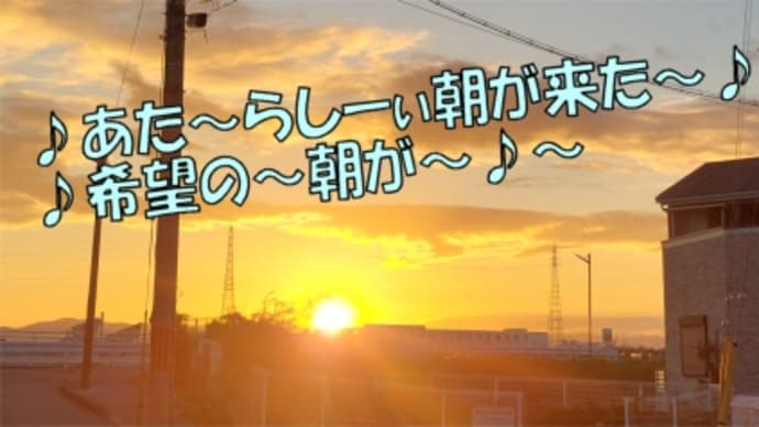 ♪~新しい朝がやぅてきた~♪~落ち葉拾いがやってきた~お玉ちゃんがやってきた~♪