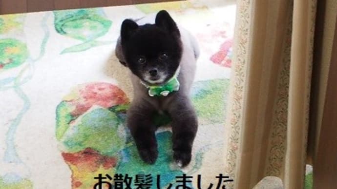 アクティブ