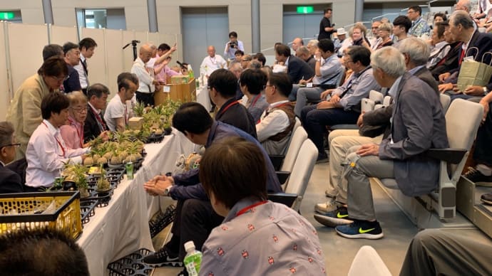 第70回日本富貴蘭会美術品評全国大会 セリ会