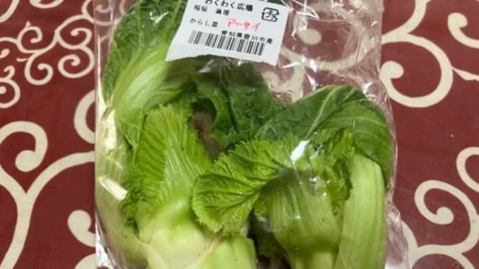 アーサイ知ってる??