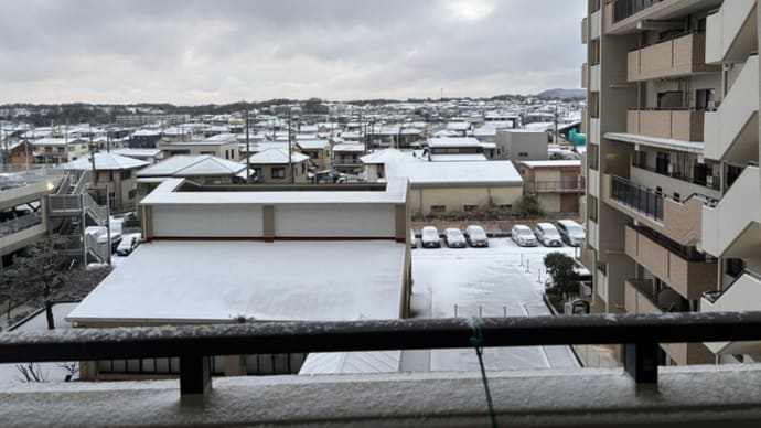 2025年2月9日の状況