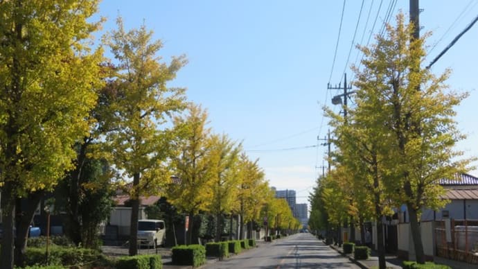 「桜を見る会」中止に 幕引きを図る安倍総理 逃がすわけにはいかない