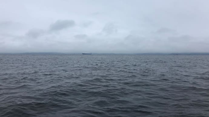 雨にも負けず・・・風にも負けず・・・頑張りますかね('ω') 東京湾 中深海スロージギング便 2020/6/25