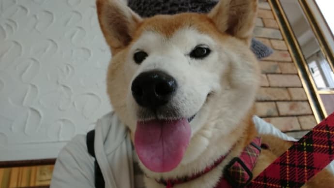 危ないところでした 190701
