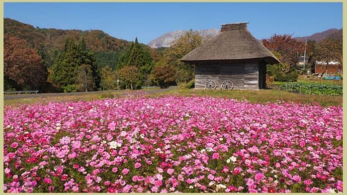 紅葉を求めての旅・御机の茅葺小屋