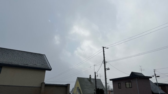 あやっ、雪が降ってきた。支払いして商品忘れた