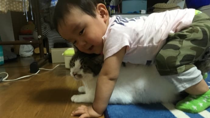 好きすぎて