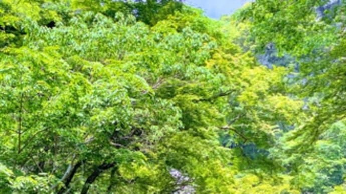 箕面大滝