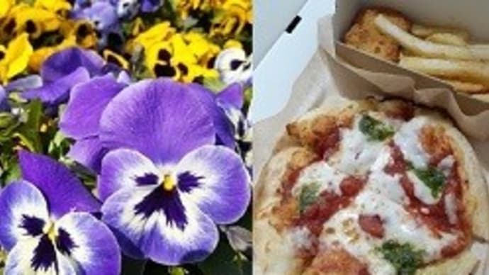 立川の公園のパンジーと庭木の伐採とDIYと久々にピザハットのPIZZAを食べたとですぅ~(^◇^)