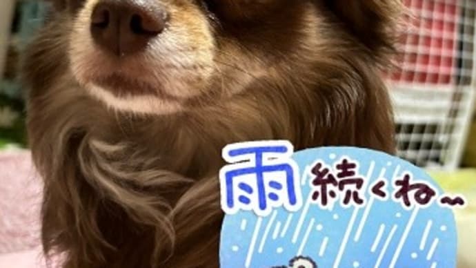 ルーモス 梅雨でも元気だよ~♪