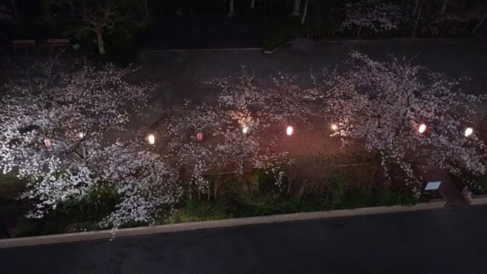 暑さ寒さも彼岸まで 寒の戻り 三寒四温