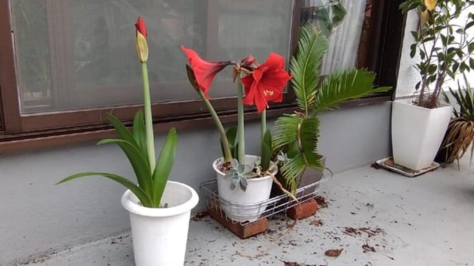花位置悪し