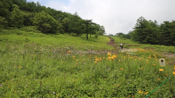軽井沢2023、夏。〜高峰高原・後編〜