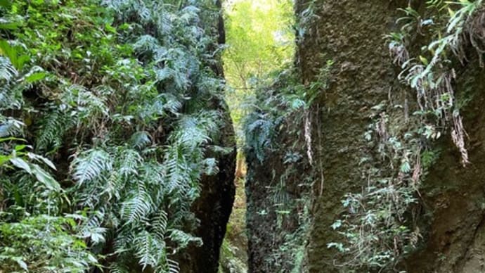 小笠山 六枚屏風
