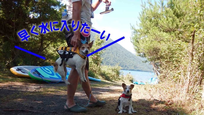本栖湖でサップ!
