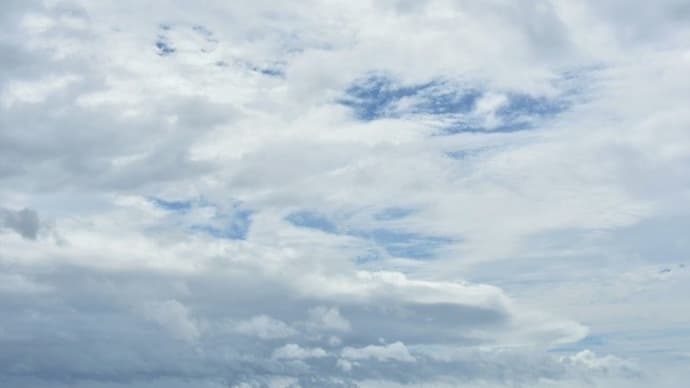 台風の風が吹こうと… 雨が降ろうと…
